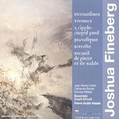 Fineberg - Streamlines / Tremors / A ripple-ringed pool