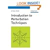 Introduction to Perturbation Techniques
