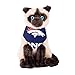 Denver Broncos Pet Bandanas