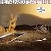 The Walkabouts - Acetylene