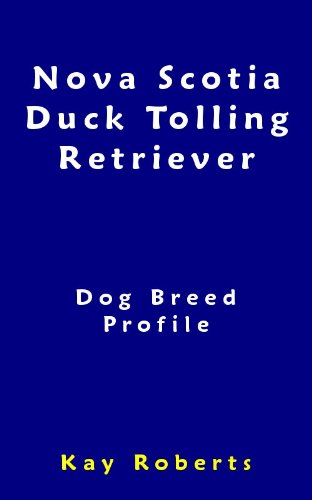 Nova Scotia Duck Tolling Retriever Dog Breed Profile