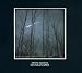 Charms of the Night Sky von Dave Douglas - alle Infos