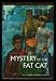 Books : Mystery Of The Fat Cat