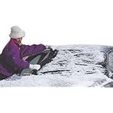 Winter Warrior Windshield Cover