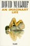 An Imaginary Life