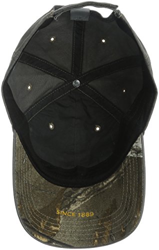 carhartt cedarville cap