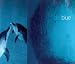 Books : The Blue