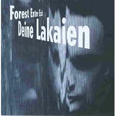 Forest Enter Exit