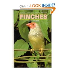 Finches