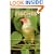 Finches