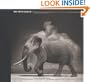 On This Earth: Photographs from East Africa