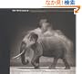 On This Earth: Photographs from East Africa