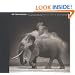 On This Earth: Photographs from East Africa
