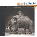 On This Earth: Photographs from East Africa