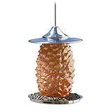 Bird Brain Pine Cone Bird Feeder