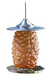 Bird Brain Pine Cone Bird Feeder Orange