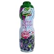 Black Currant (Cassis) ~ Teisseire all natural Syrup 600 ml 20.3oz