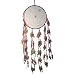 Dreamcatcher with Feathers, 10 Ring Diameter, Assorted Colors