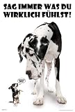 Empire 394897 Hunde - Sag immer was du denkst Poster - 61 x 91.5 cm
