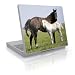 New Life Design Skin Decal Sticker Cover for Laptop Notebook Computer - 15