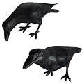 Crow Outdoor Decor Collection
