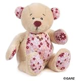"Raspberry" Rattle Teddy Bear 9"