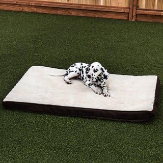 Medium Lucky DogTM Orthopedic Pillow