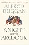 Knight with Armour