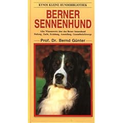 Berner Sennenhund