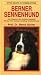 Image of Berner Sennenhund