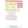 Chinese Tui Na Massage: The Essential Guide to Treating Injuries, Improving Health and Balancing Qi