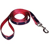 MLB Minnesota Twins 6' x 1'' Ribbon Pet Leash
