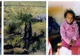 There is Something in the air in Prince Albert, South Africa - Cuny Janssen