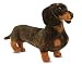   - Melissa & Doug Dachshund - Plush