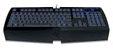 Review Razer RZ03-00180600-R3W1 / RAZER LYCOSA GAMING KEYBOARD - UK
