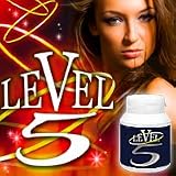 LEVEL 5 (�����F��5�E���x��5)