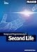 Design und Programmierung in Second Life