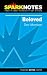 Books : Spark Notes Beloved