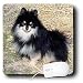 pomeranian27 - Dogs Pomeranian Black and Tan Pomeranian Mouse Pads