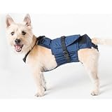 Dog Diaper Wrap SMALL (LONG) BLUE