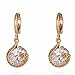 Yazilind Charming Simple Design 14K Gold Filled Inlay Round Clear Cubic Zirconia Dangle Drop Earrings