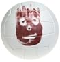 Wilson Castaway Volleyball