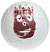 Wilson Official-Size Castaway Volleyball - White