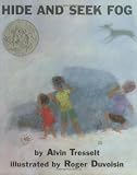 Hide and Seek Fog (Mulberry Books)