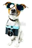Wallmonkeys Peel and Stick Wall Decals - Dog Photo Camera - Removable Graphic