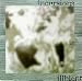 Incursions in Illbient
