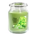 Yankee Candle&reg; Home Classics Jar Candle - Sunsweet Melon (22 oz)