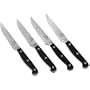 Chicago Cutlery Centurion 4-Piece Steak Knife Set