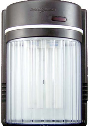 black Friday Lights America 9012 Lifetime FluorescentB000HJ984S