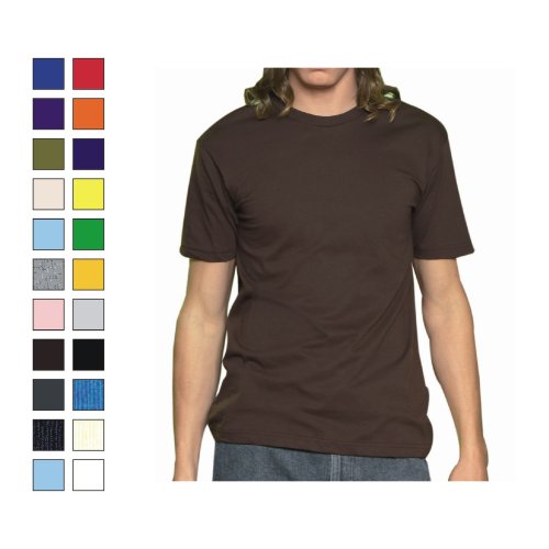 Click here to buy American Apparel - Fine Jersey T (2001).